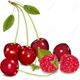 Cherry-Raspberry Porter