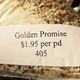 Golden Promise Grained - Amarillo Hopped SMaSH