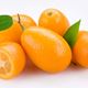 Kumquat Belgian White IPA