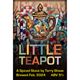 Little Teapot - Spiced Sweet Stout