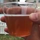 1 gallon Apple Berry Nectar Cider