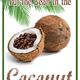 Put the Bean in the Coconut