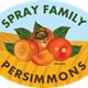 Persimmon Spice Ale