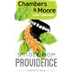 Chambers and Moore Providence Cream Ale